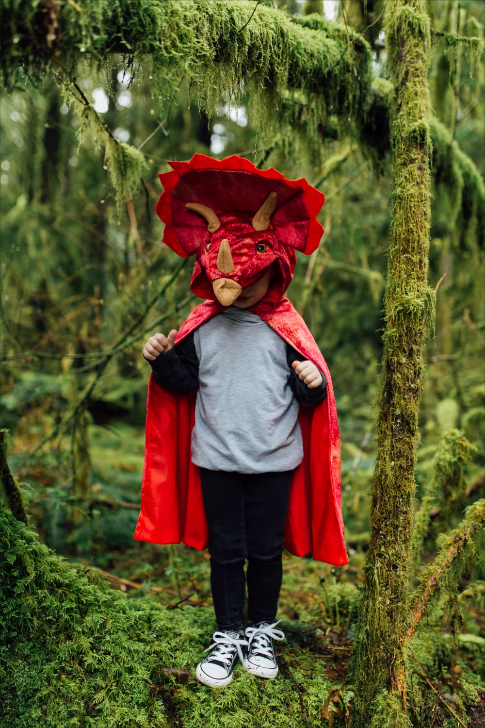 Karneval Halloween Kinder Cape Dino Triceratops rot