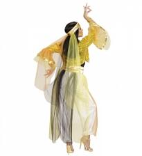 Karneval Damen Kostüm Harem Dancer
