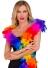 Widmann Karneval Federboa Luxus Regenbogen