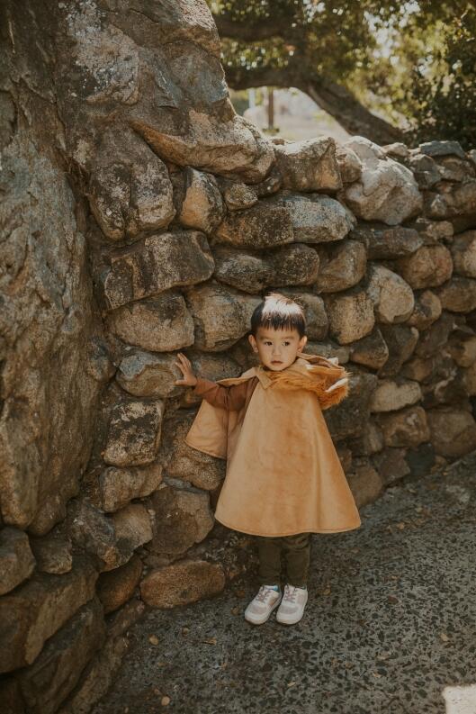 Great Pretenders Karneval Baby Kostüm Cape Löwe