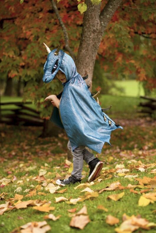 Great Pretenders Karneval Halloween Kinder Kostüm Drache blau