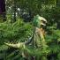 Souza Halloween Karneval Kinder Wende Cape Umhang Dino T-Rex