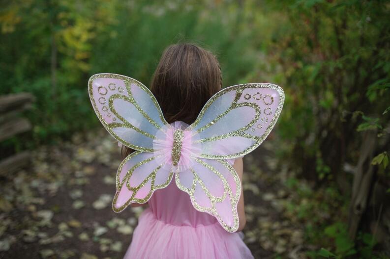 Karneval Kinder Kostüm Fee Goldener Schmetterling Flügel