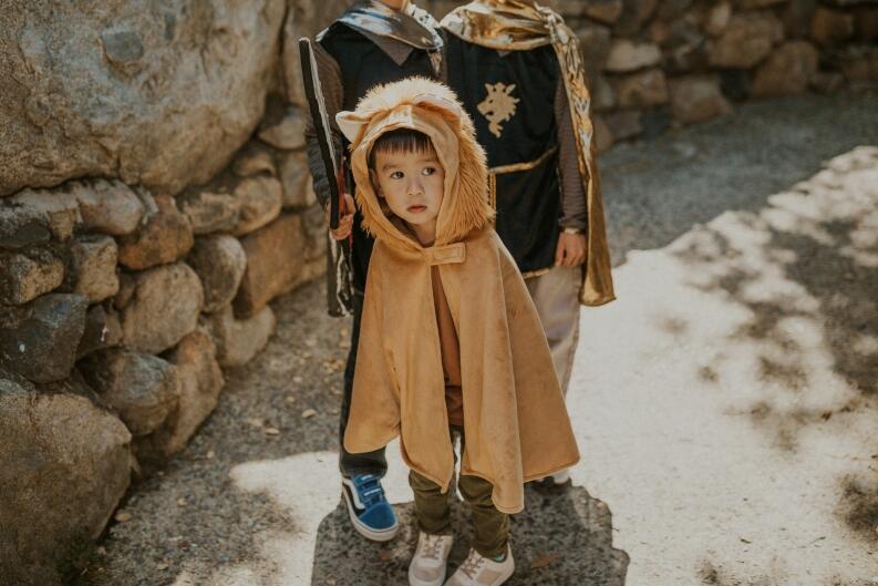 Great Pretenders Karneval Baby Kostüm Cape Löwe